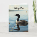 Search for common loon Waterfowl