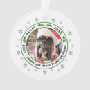 Search for pet first ornaments Snowflakes