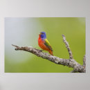 Recherche de territoire posters Nature