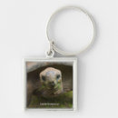 Search for tortoise keychains Marine life