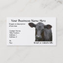 Recherche de vache noire cartes visite Taureau