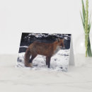 Search for fox cards Nature