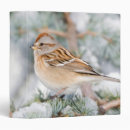 Search for backyard binders Bird