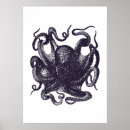 Recherche de céphalopode posters Illustration