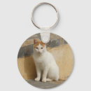 Recherche de chat gingembre porteclés Mignon