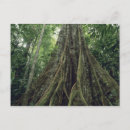 Recherche de contrefort cartes postales Arbre