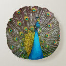 Recherche de paon coussins Sarcelle d'hiver