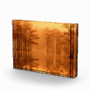 Recherche de cypr maison deco Joanne wells