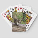 Search for squirrel playing cards Rodent