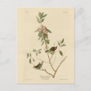 Search for calendulas postcards Bird