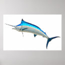 Search for marlin fish posters Fishing