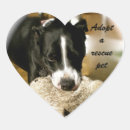 Search for rescue pet stickers Shelter