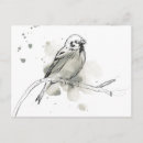 Search for studies postcards Bird