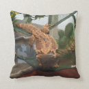 Recherche de caméléons coussins Lézard
