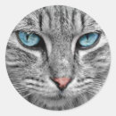 Search for blue eyes stickers Kitty