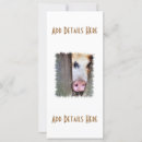 Search for funny farm cards Photography