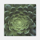 Search for lush green magnets Leaves