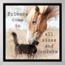 Search for true cat Friends