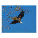 Search for flight officer posters Nature