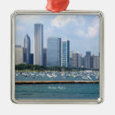 Search for chicago skyline ornaments Illinois