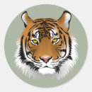 Search for tiger design stickers Wildlife