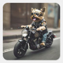 Search for riding a motorcycle stickers Funny