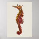 Search for seahorse posters Cute