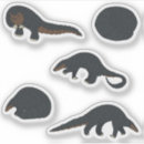 Search for mammal stickers Wildlife