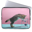 Search for pet fish cases Aquarium