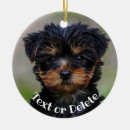 Recherche de teacup ornements Chien