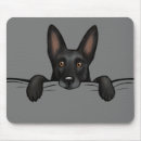 Recherche de chien berger allemand noir tapis souris Amoureux des chiens