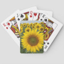 Search for yellow sunflowers playing cards Nature