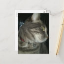 Recherche de pentagramme cartes postales Wicca