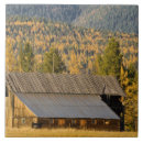 Search for tamarack Autumn