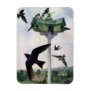 Recherche de hirondelles magnets Faune