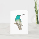 Search for chests cards Bird