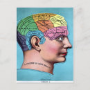 Search for brain vertical postcards Phrenology