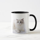 Search for ragdoll mugs Animal