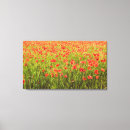 Search for poppy field canvas prints Poppies