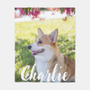 Search for cat photo blankets Modern simple minimalist design