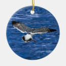 Search for seagull ornaments Wildlife