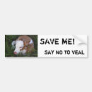 Recherche de veau voiture autocollants Bétail