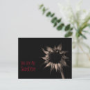 Search for sunflower lover postcards Floral