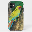 Search for macaw iphone cases Colourful