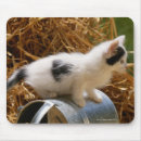 Recherche de nourriture tapis souris Vert