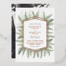 Search for pine needle Evergreen