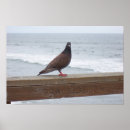 Recherche de dan posters Océan