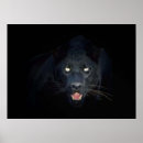 Recherche de panthère posters Sauvage