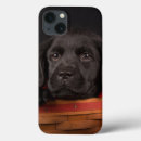 Search for part of ipad cases Domestic animals
