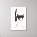 Recherche de cat baby kids Animaux mignons